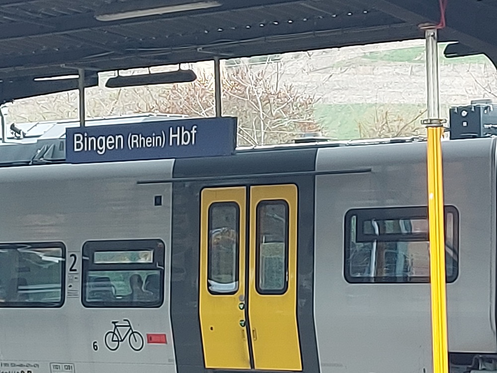 LYCEE CASSIN METZ BINGEN